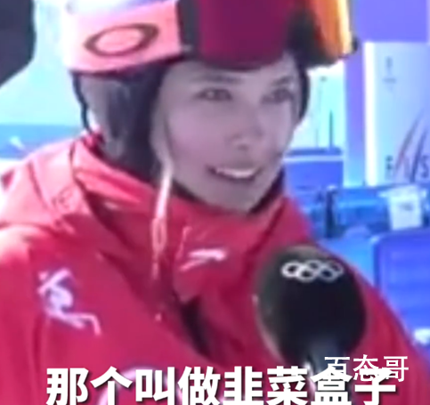 谷爱凌问韭菜盒子英语怎么说 韭菜盒子翻译成pie更贴切一点