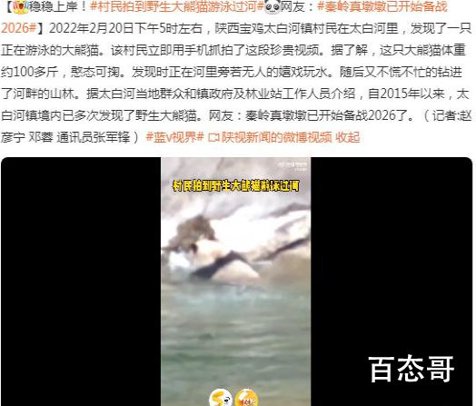 秦岭真墩墩已开始备战2026 厉害了我的熊