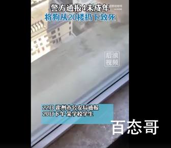 警方通报学生将狗从20楼扔下致死 马上就成年了仍然这么泯灭人性