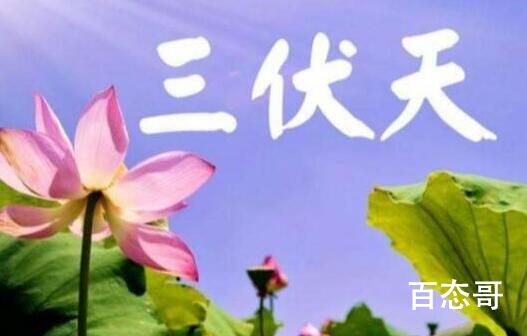 一伏天二伏天三伏天分别是多少天 123伏天有什么区别吗