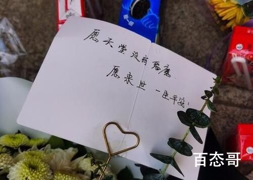 安阳遇害3岁女童母亲发声 嫌疑人赵磊为什么要报复社会？