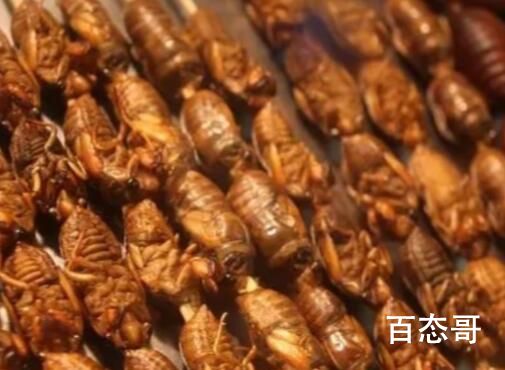 委员:把食用昆虫加入国人食品名录 这么做有什么好处？