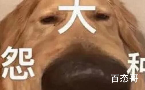 冤种牛马是哪里的方言 冤种牛马是什么意思