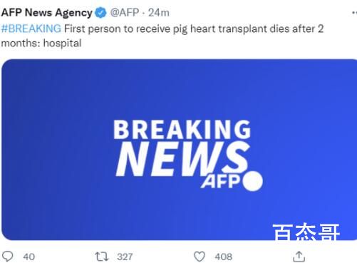 全球首个接受猪心脏移植病患死亡 患者的付出推动了医学的向前发展