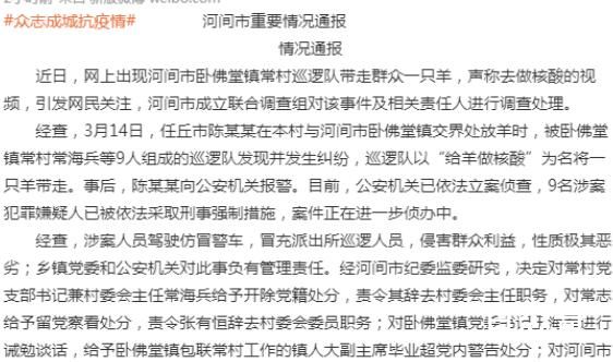 官方通报“巡逻队”带羊做核酸 背后的真相让人惊愕