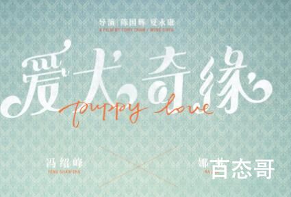 爱情片《爱犬奇缘》定档什么时候 爱犬奇缘剧情介绍