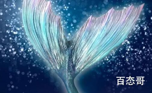《与君初相识》长意虽然断尾后面长新的了吗 