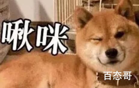 啾咪是什么梗 啾咪是什么意思