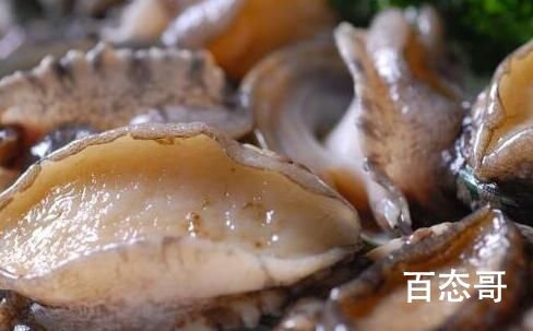 鲍鱼是鱼吗 鲍鱼是贝类吗