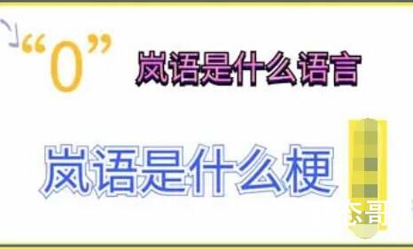 岚语是哪国语言 岚语是什么意思