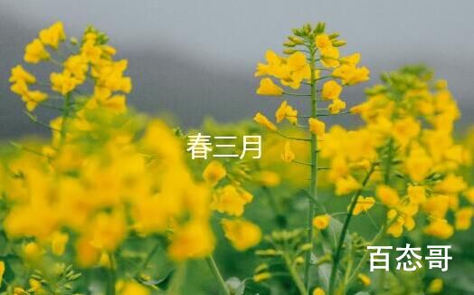 三月来百草开盈香满袖万物苏歌名叫什么
