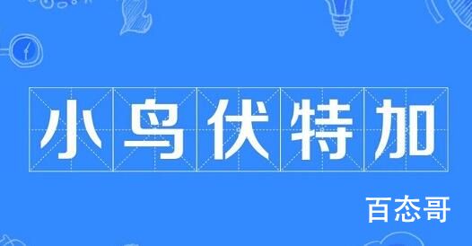 小鸟伏特加是什么梗 小鸟伏特加是什么意思
