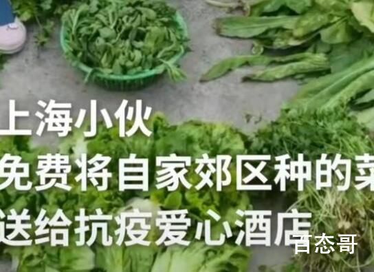 上海小伙薅光奶奶菜地送抗疫酒店 老人家种菜也不容易