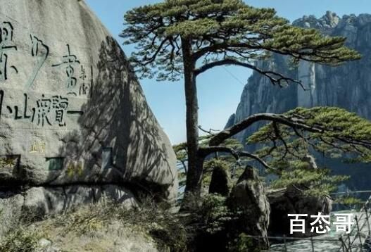 迎客松无客可迎 黄山旅游业遭重创 黄山是不是已经没什么人了