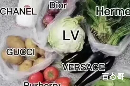 上海一男子买不到菜在家水培白菜 这比出去到处乱跑的人强N倍