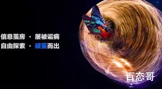 信息茧房是什么梗 信息茧房有什么含义