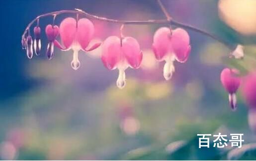 所以我把歌词写成诗句是哪首歌里的歌词