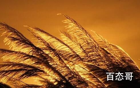 落日与晚风深情的相拥是那首歌里的歌词 落日与晚风是谁作词