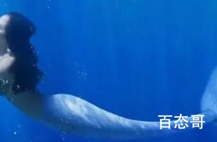 歌曲美人鱼是哪年发行的 美人鱼作曲和原唱是谁
