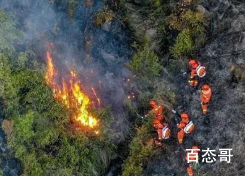 福建宁德网红景点突发山火 究竟是怎么一回事