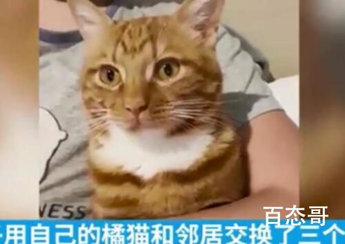 上海男子“撸猫换橙子”走红 萌这个东西还真是能卖啊
