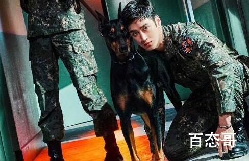 《军检察官多伯曼犬》全集是多少集 军检察官多伯曼犬每周几更新