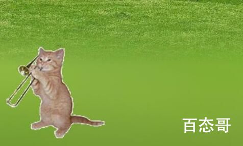 微信农场是怎么会火起来的