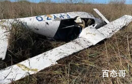 法国飞行员空中发病 乘客接管着陆 背后的真相让人震惊