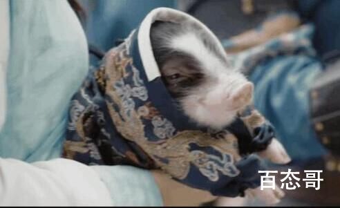 祝卿好沈嗷嗷是神兽吗