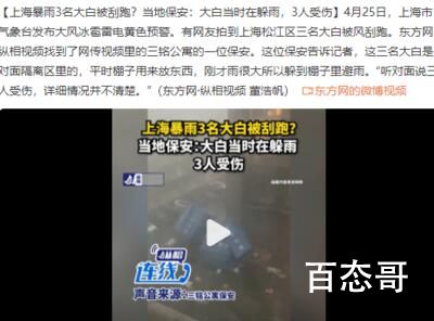 上海暴雨3名大白被刮跑?保安发声 上海请爱护保护好大白！