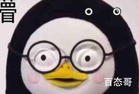 内娱塌房楼人遭殃是什么梗 内娱塌房楼人遭殃的意思是啥