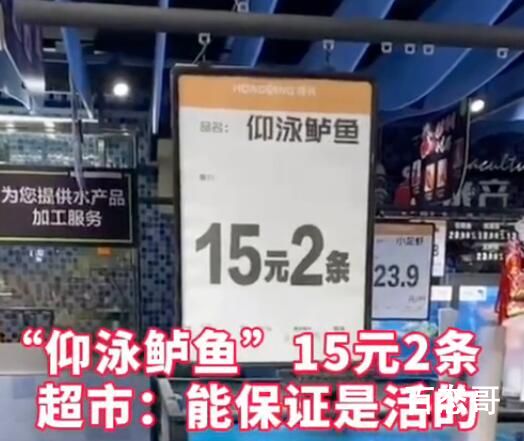 超市卖仰泳鲈鱼2条15元:保证活的 要生存要发展要推陈出新势在必行