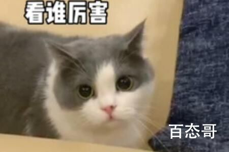 这波在大气层是什么梗  这波在大气层出自于哪里