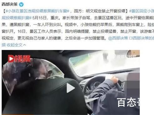小孩在景区违规投喂惹黑熊扒车窗 所以说互联网没有记忆
