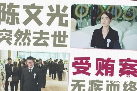 女士的法则陈文光是被陷害了吗 陈文光结局是好的嘛