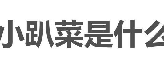 小趴菜是什么意思 小趴菜是贬义词吗