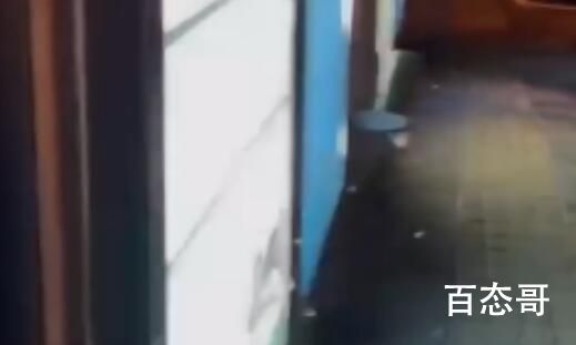 上海白蚁爆发 夏天环境潮湿很适合白蚁生存