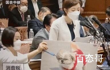 日议员指责岸田是“资本家的狗” 日本子议员大石晃子说的感觉还是有点道理的