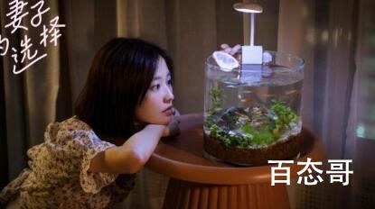 《妻子的选择》主演都是谁 妻子的选择是一部什么题材的电视剧