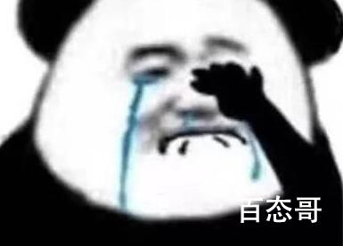 他真的我哭死是啥意思