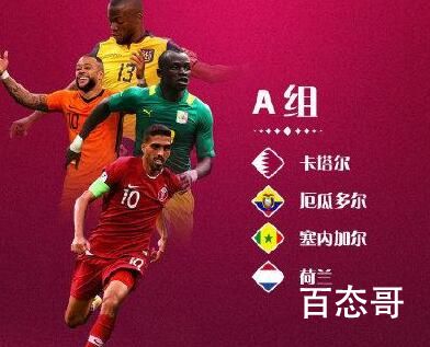 卡塔尔世界杯32强全部出炉 卡塔尔世界杯有中国队吗