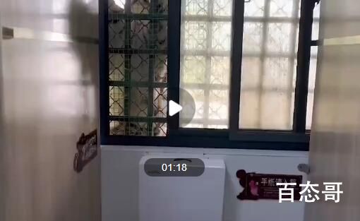 男子动物园如厕遇老虎趴窗“偷窥” 你瞅啥？瞅你咋滴了？