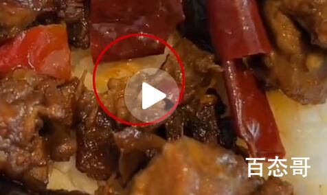 顾客称外卖吃出活蛆反被问吃到了吗 高温后怎么有活的