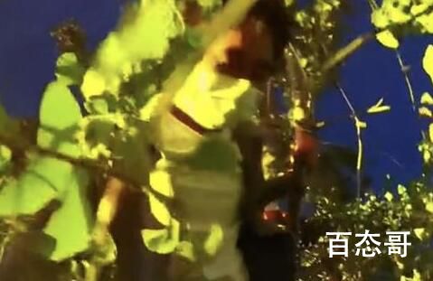 小伙爬6米高树杈看许巍被警察劝下 安全第一不会再犯