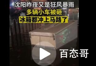 大风突袭沈阳 倒了近300棵树 背后的真相让人恐怖如斯