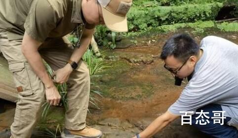 四川乐山一餐厅发现恐龙足迹 发现个脚印能复活恐龙？