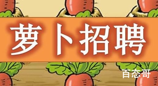 萝卜招聘是啥梗 萝卜招聘是什么意思