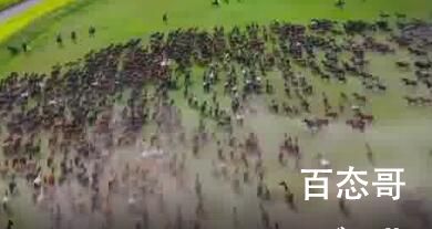 上海此次KTV疫情在沪密接2.3万人 多亏了上海专家们齐心协力判断精准严防严控