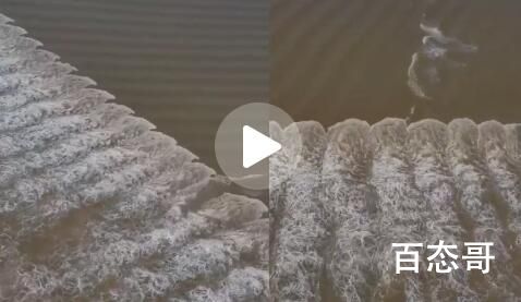钱塘江现鱼鳞潮如万马奔腾 到底是怎么回事？