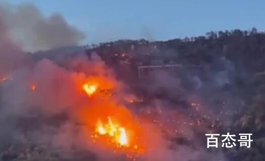 重庆涪陵山火复燃 火线沿山体蔓延 消防救援队员们辛苦了向你们致敬！